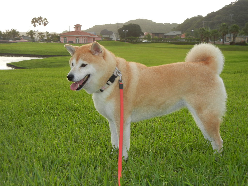 2011年9月3日(土)台風12号!_f0060461_19294652.jpg
