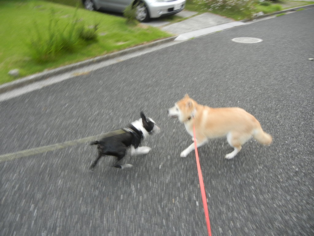 2011年9月3日(土)台風12号!_f0060461_19305112.jpg