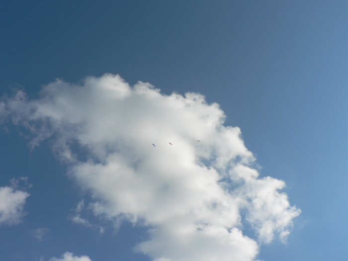 b0209862_19311390.jpg