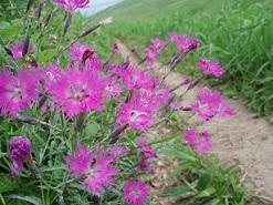 b0021766_8561985.jpg