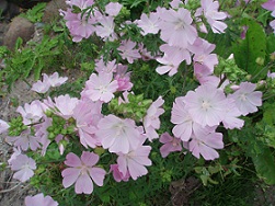 b0021766_9181634.jpg
