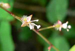 f0083977_00913.jpg