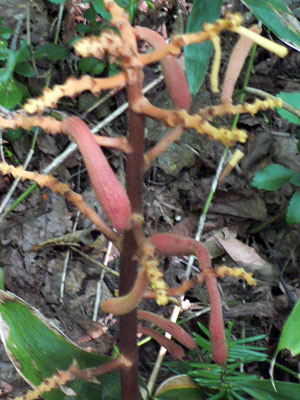 f0083977_23475528.jpg