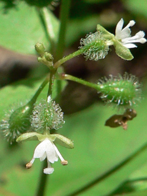 f0083977_23503357.jpg