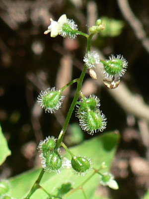 f0083977_23511114.jpg