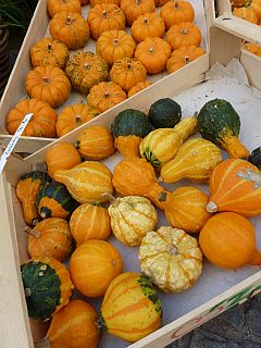 f0169885_430531.jpg