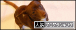ケリスデールに上海楼の姉妹店?_d0129786_19175840.gif