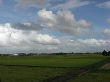 b0111791_17343974.jpg