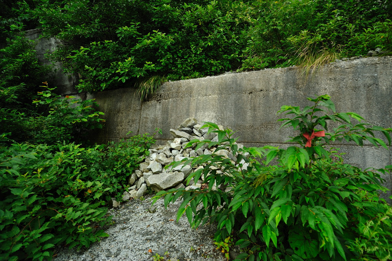 c0138991_1641572.jpg