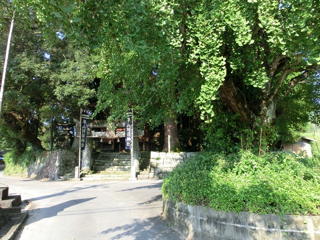 d0181492_15132853.jpg