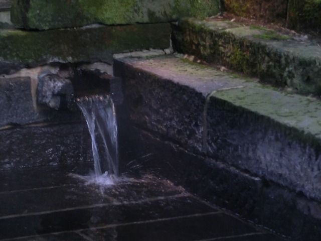 d0181492_1525329.jpg