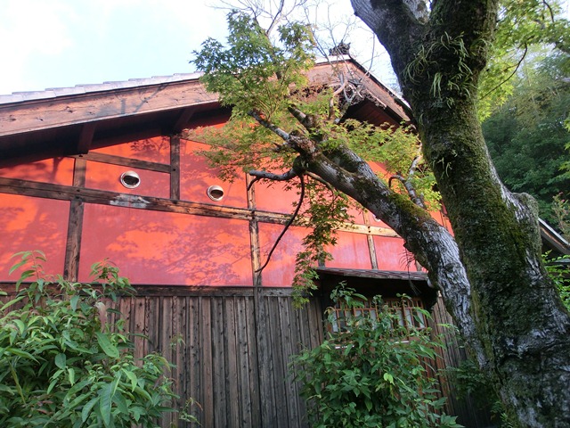 d0181492_155274.jpg
