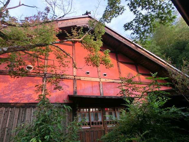 d0181492_1555397.jpg