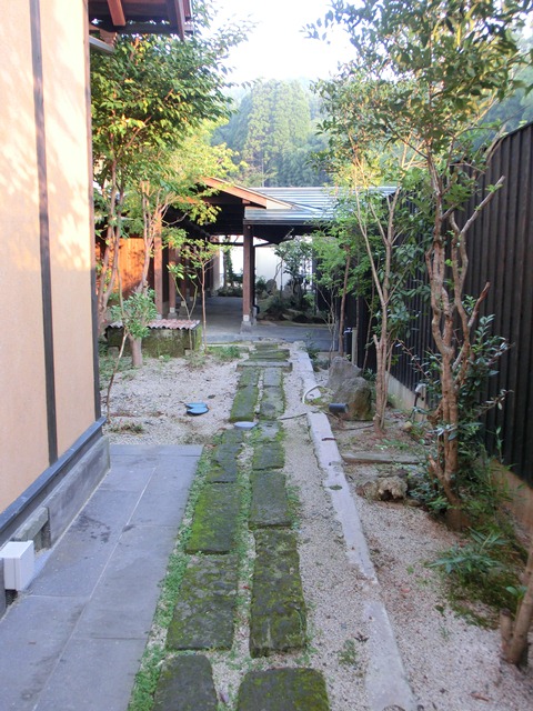 d0181492_1561877.jpg