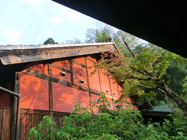 d0181492_156720.jpg