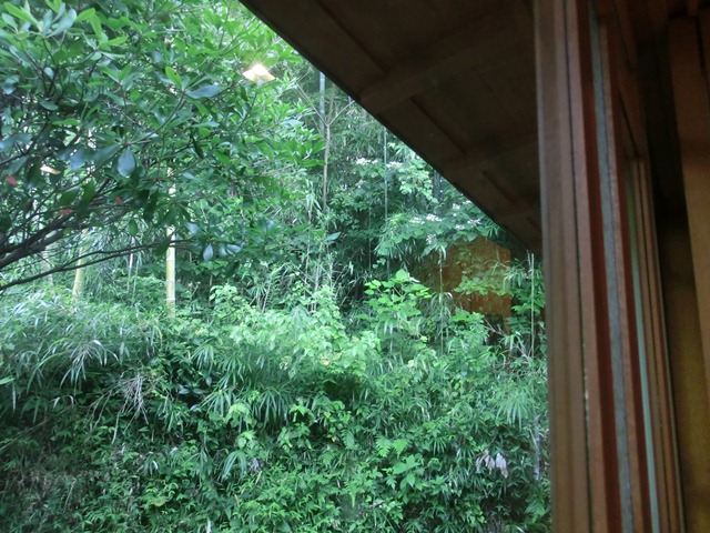 d0181492_1571599.jpg
