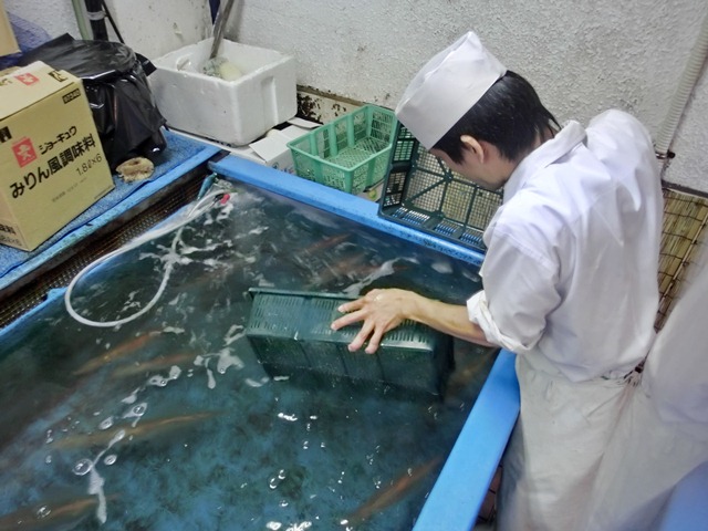 d0181492_20412235.jpg