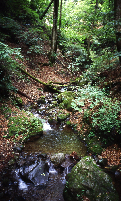 c0214494_2044414.jpg