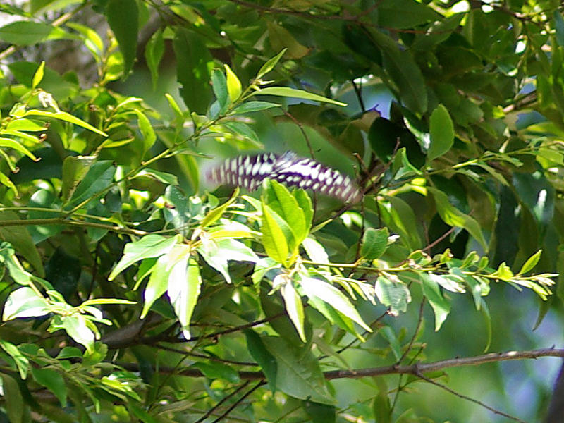 f0204094_2213432.jpg