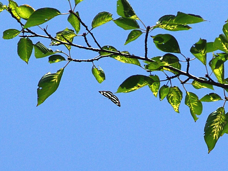 f0204094_2223176.jpg