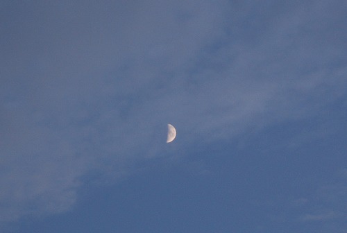 c0124100_2353259.jpg