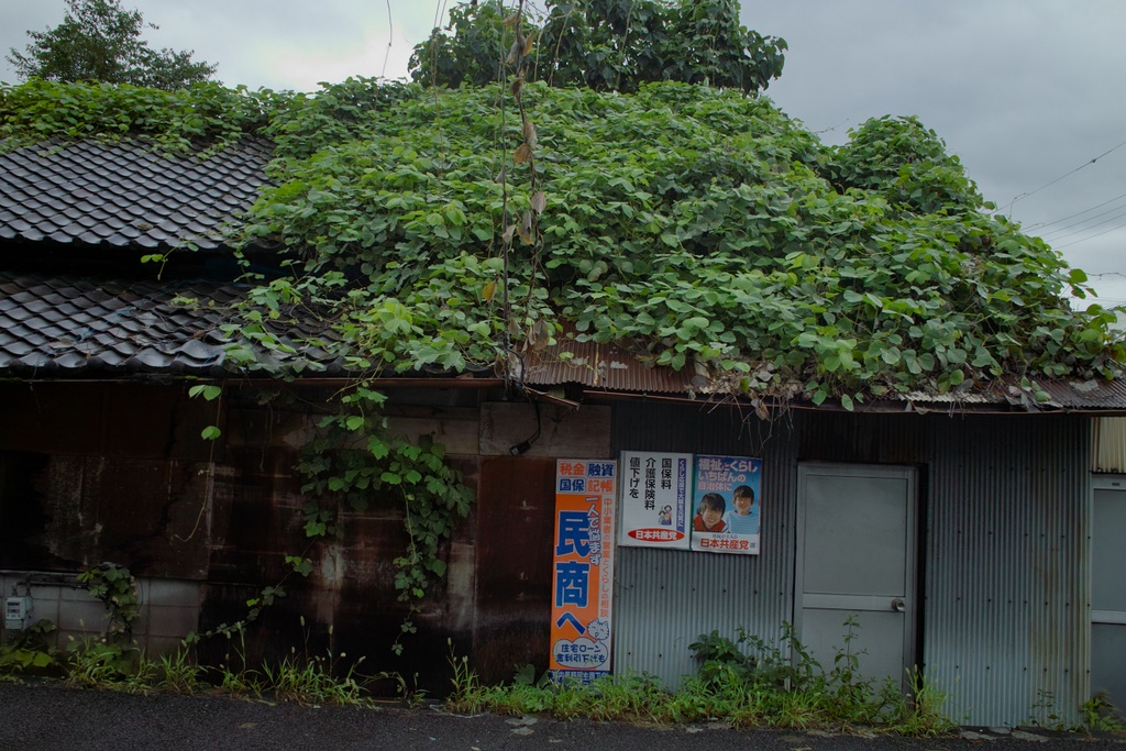 b0138101_20151885.jpg