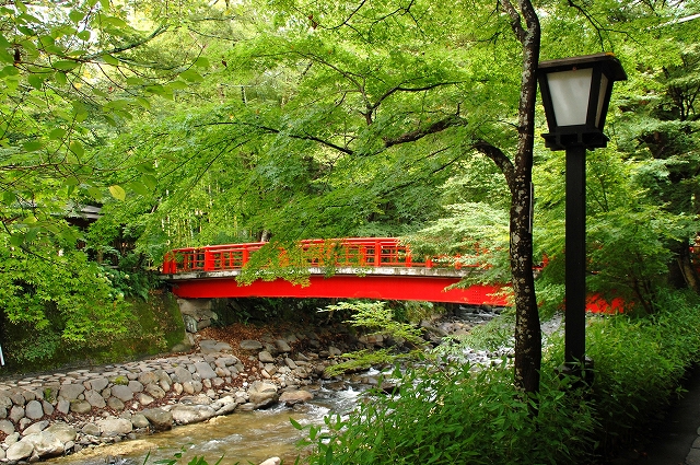修善寺 竹林の小径_a0169902_942467.jpg