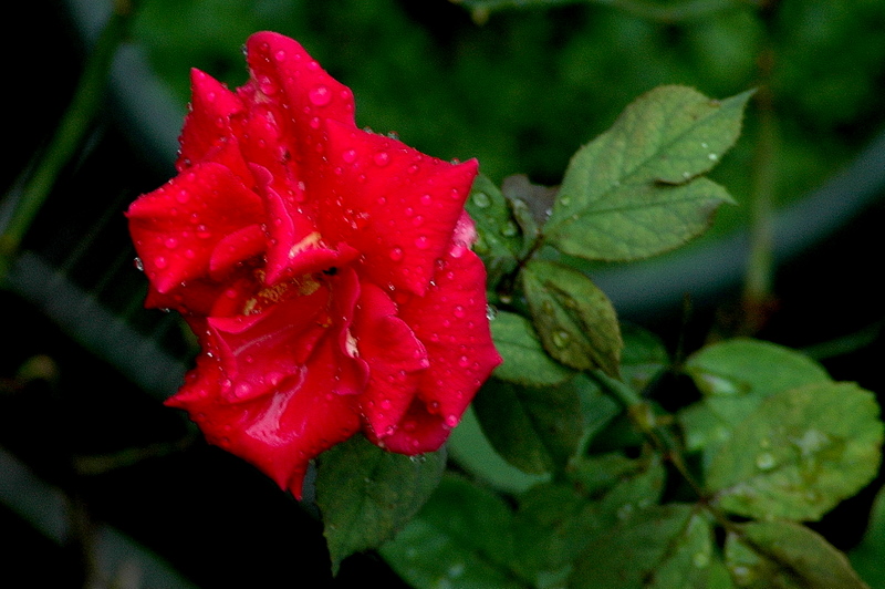 d0248502_848109.jpg