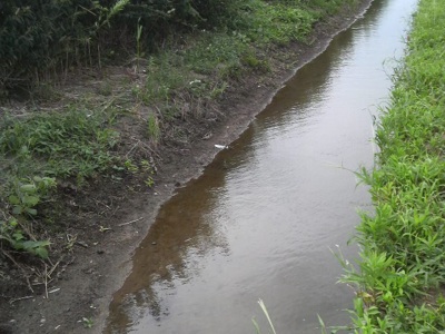 f0082402_2143397.jpg