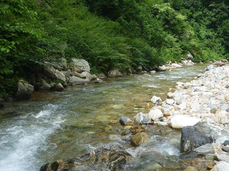 b0229003_20342520.jpg