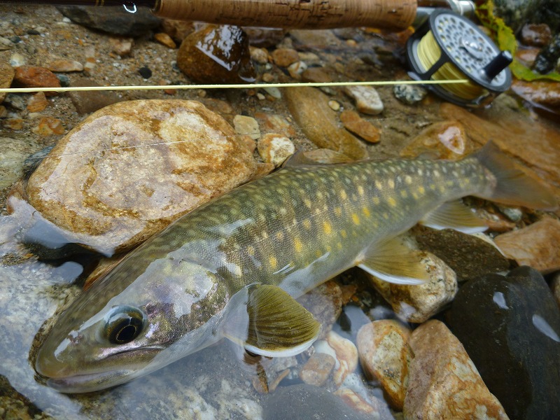 b0229003_2052381.jpg