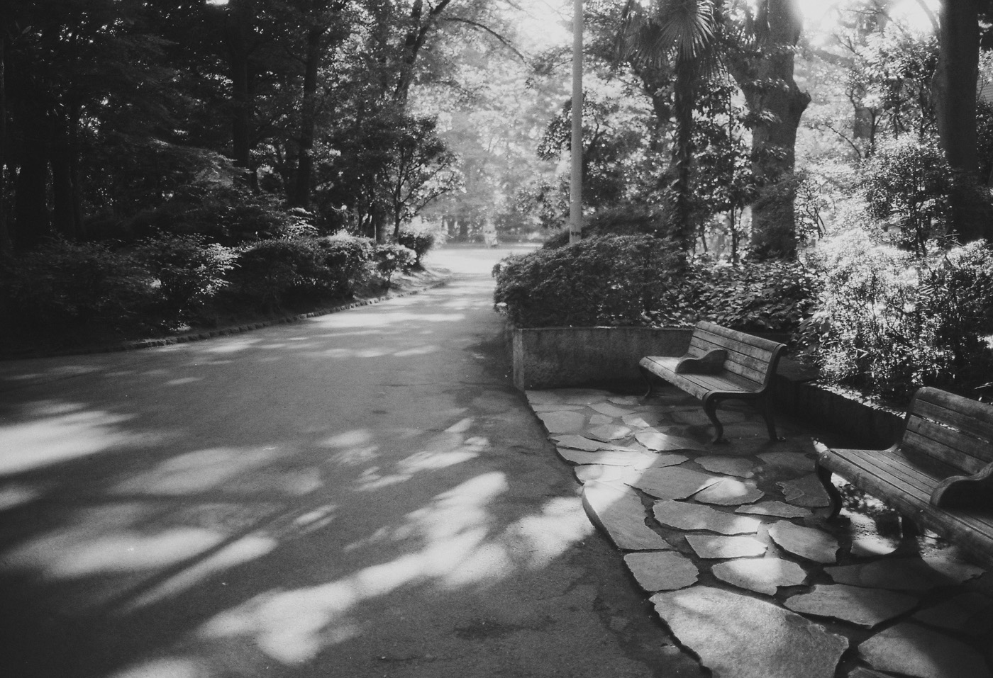 c0120903_0204545.jpg