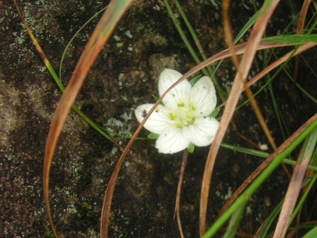 e0192203_12471770.jpg