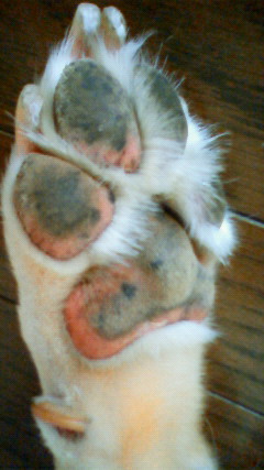 e0046305_13374047.jpg