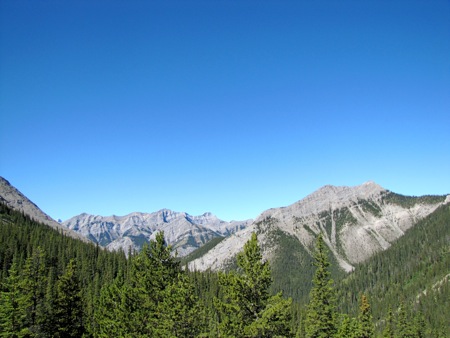 b0051109_823329.jpg