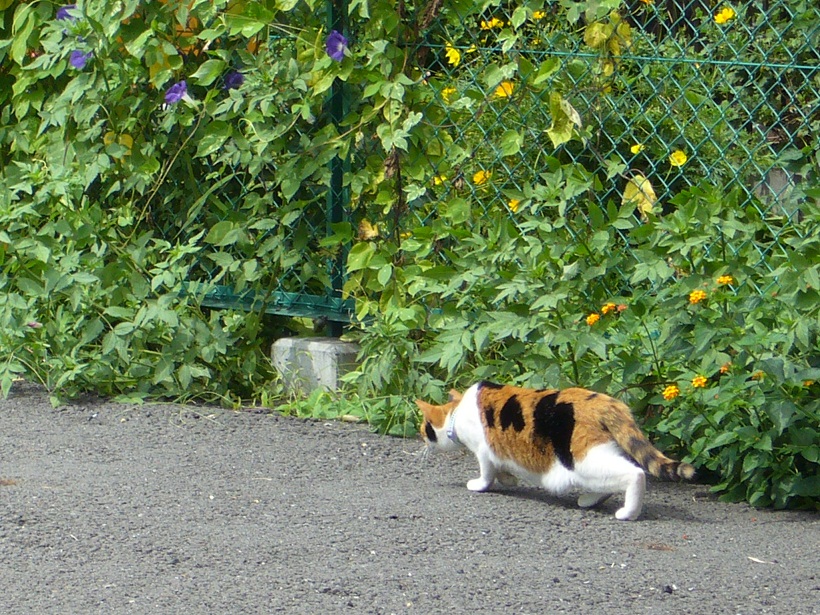 c0003409_22183.jpg