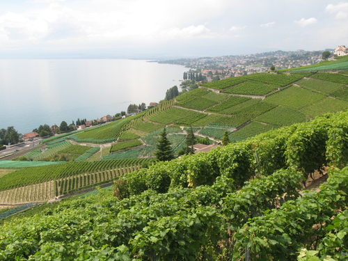 b0103915_16614100.jpg