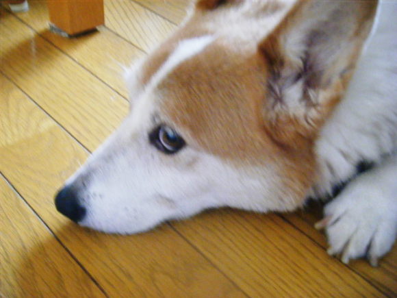 c0118715_21584148.jpg