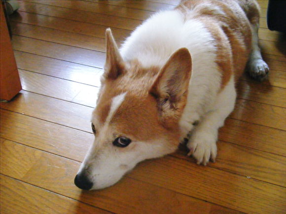 c0118715_2204083.jpg