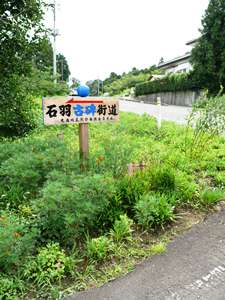 e0097615_1714277.jpg