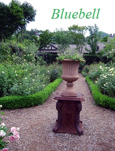 a0192918_918559.jpg
