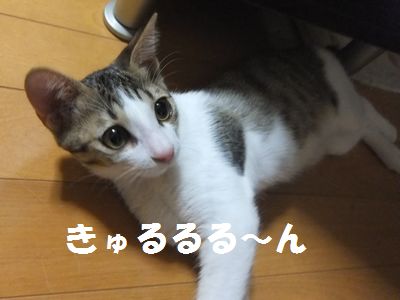 a0029819_23133.jpg