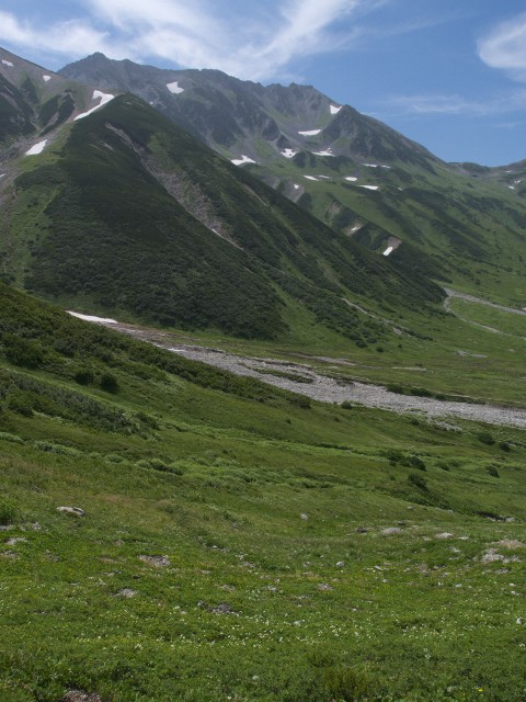 夏の思い出1_d0177220_10471877.jpg