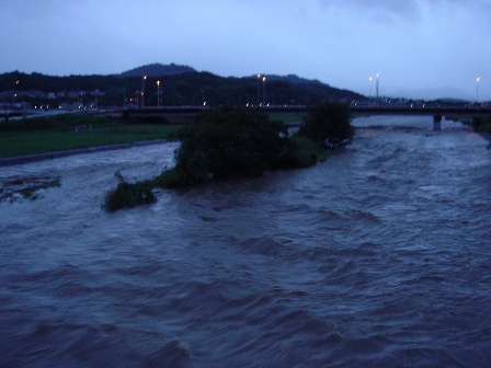 増水の石川　　２０１１・９・４_f0000521_5481616.jpg