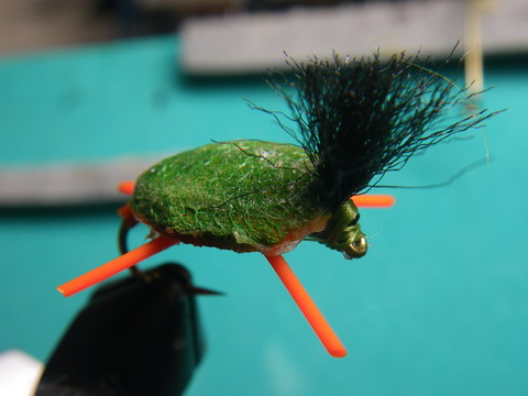 c0202727_20142988.jpg