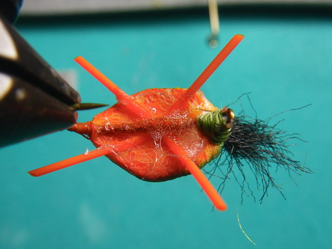 c0202727_20151656.jpg