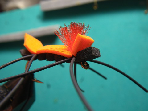 c0202727_20245145.jpg