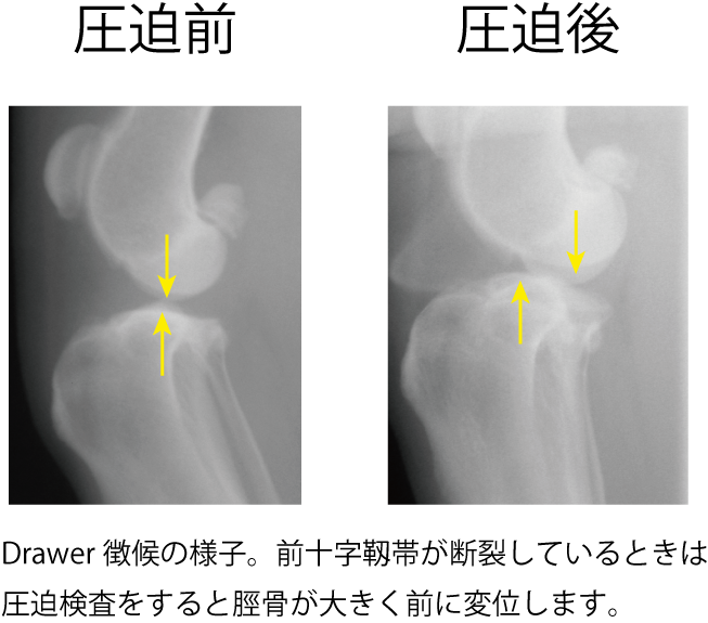 d0156734_8593752.png