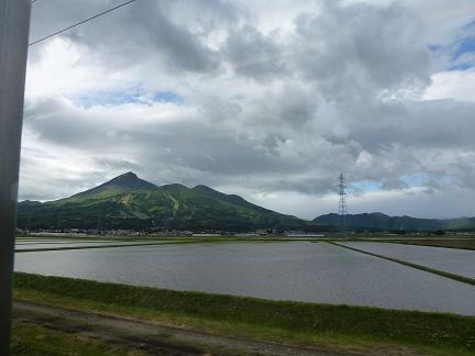 d0098335_12271530.jpg