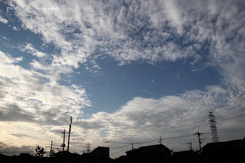 台風12号が運んできた沢山の雲_e0052135_22245626.jpg